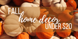 Fall Home Decor Ideas