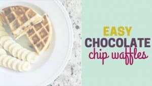 Easy chocolate chip waffle recipe