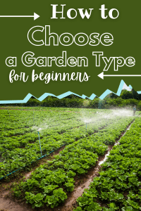 How to Choose a Garden Type for Beginners