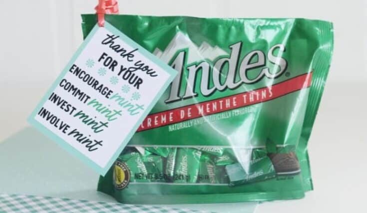 DIY-Mint-Thank-You-Gift-Featured-Image