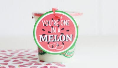 DIY-Youre-One-In-A-Melon-Gift-Featured-Image