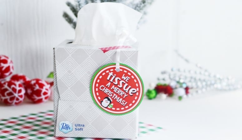 DIY-Christmas-Kleenex-Gift-Featured-Image