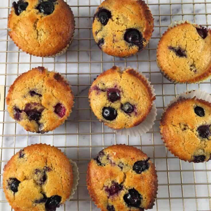 Image for Kodiak Cakes Muffins (Blueberry Protein Muffins)