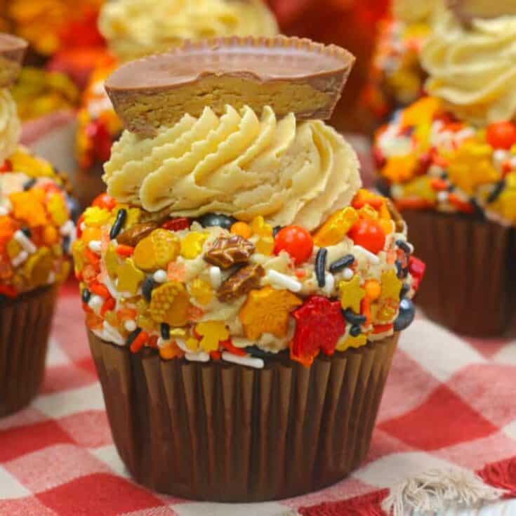 Image for Fall Harvest Chocolate Peanut Butter Cupcakes