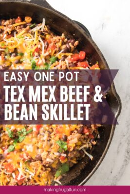 one pot tex mex beef and bean skillet recipe