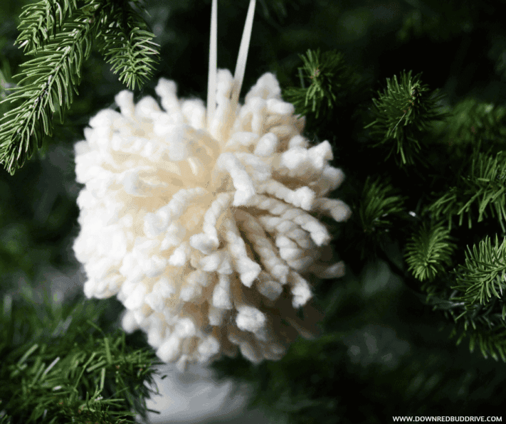 Image for Pom Pom Ornament DIY