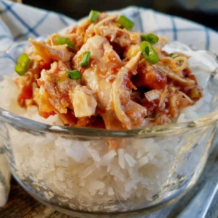 Image for Easy Crockpot Salsa Chicken